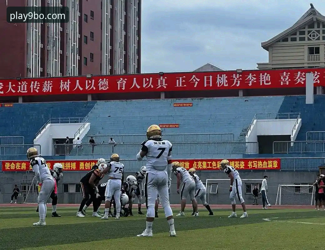 2024年最新动态：博和皇冠哪个好？9博体育平台深度对比分析